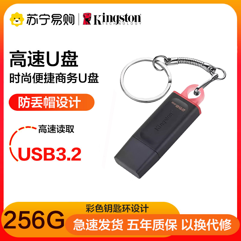 金士顿(Kingston)256GB U盘 DTX高速系统闪存优盘USB3.2 Gen 1黑色