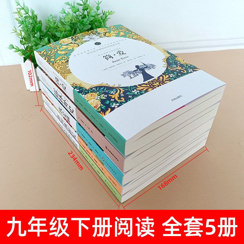 简爱+儒林+我是猫+格列佛+契诃夫[全套5册考点] [正版](全套共5册)九年级下册简爱儒林外史契诃夫短篇小说集我是