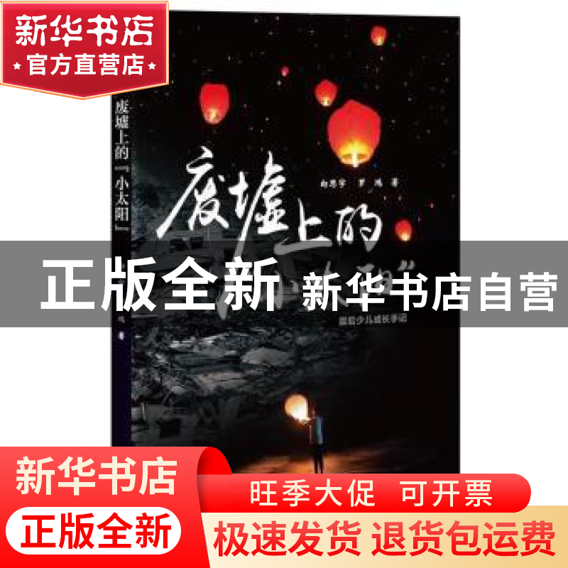 正版 废墟上的“小太阳” 向思宇,罗鸿著 四川文艺出版社 978754高清大图