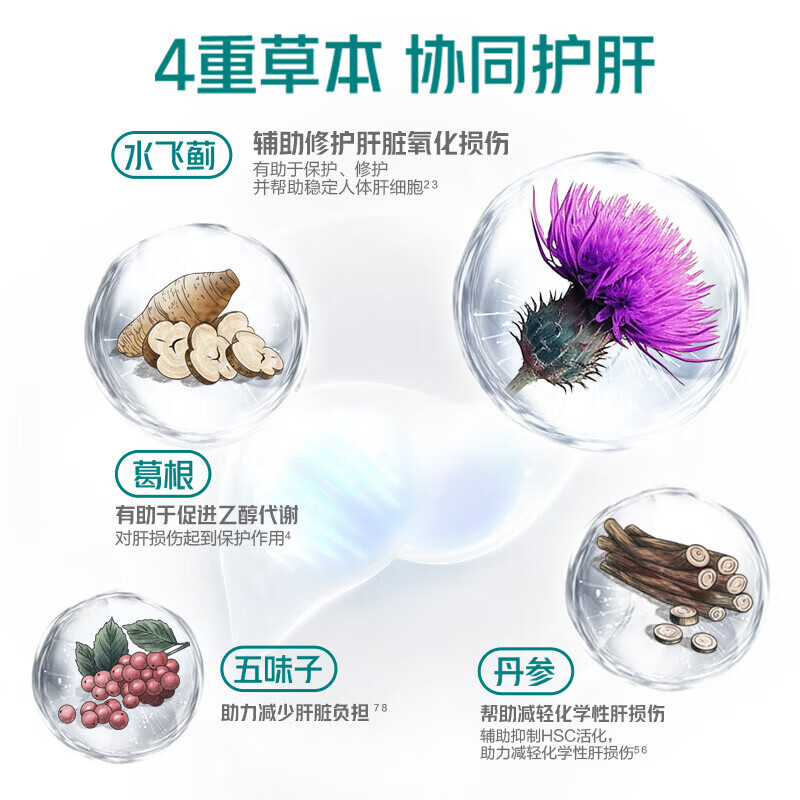 汤臣倍健 健安适护肝奶蓟草 水飞蓟片剂丹参熬夜护肝 120片/1瓶高清大图