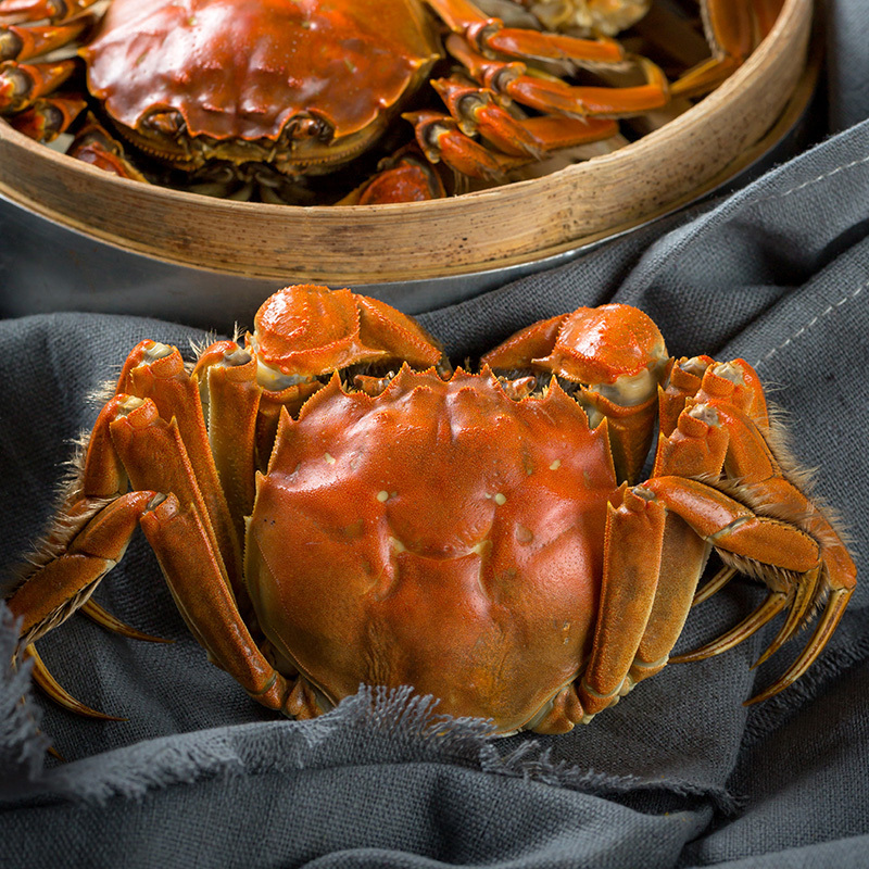 上蟹房 阳澄湖大闸蟹 6666型 公4两 母3两 3对 活蟹 礼品
