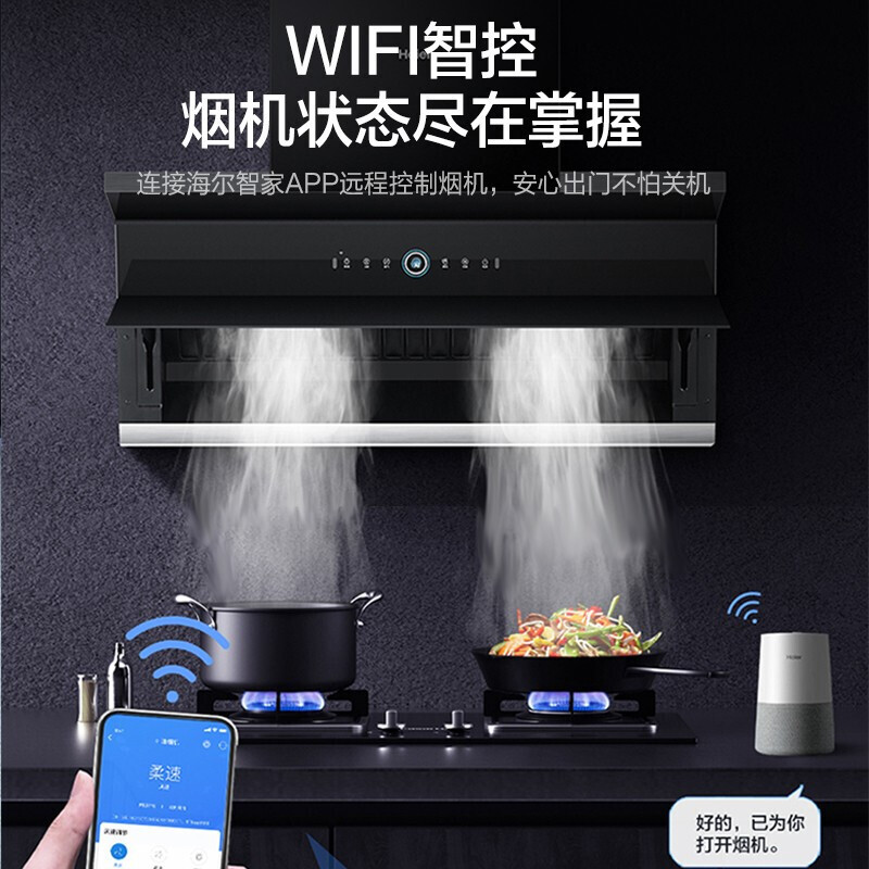 海尔(Haier)侧吸式抽烟机27m³飓风大吸力天然气烟灶消套装烟灶联动套装+APP智控115升EB03消毒柜