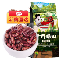 十月稻田 花芸豆 1KG