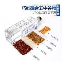 青小乐二月初52度浓香型白酒双支2瓶装纯粮食酒[非遗Z利工艺]