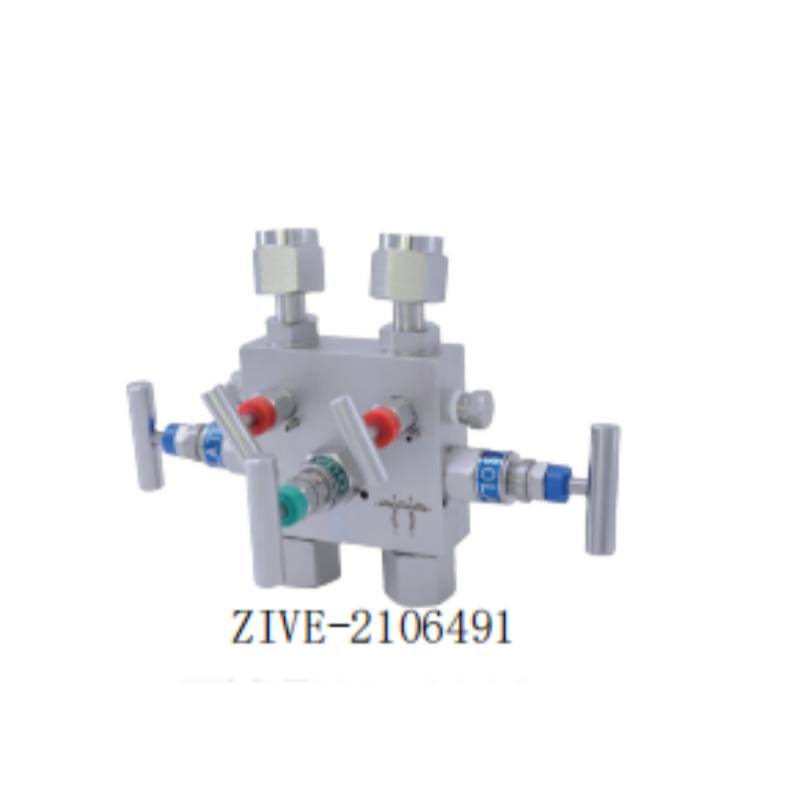 ZIVE五阀组ZIVE-2106491 个高清大图