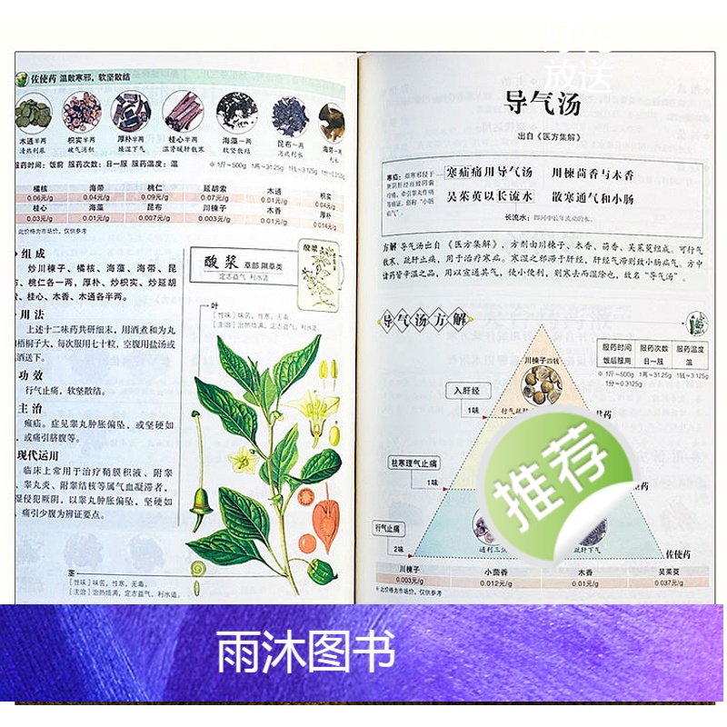 [正版]汤头歌诀全书彩绘版布面精装白话解释彩图对照中医名著经典基础入门中药配方内服煎汤剂为主的药方学中医草药基础书籍名高清大图