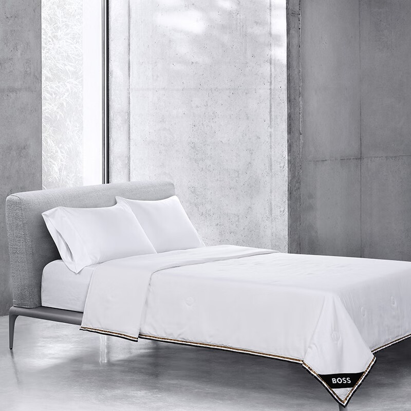 BOSS HUGO BOSS 提花蚕丝被2000*2300mm HBCS-009高清大图
