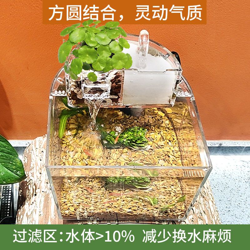 创意桌面小型鱼缸过滤免换水家用迷你生态造景养金鱼热带鱼水族箱 透明缸+过滤器