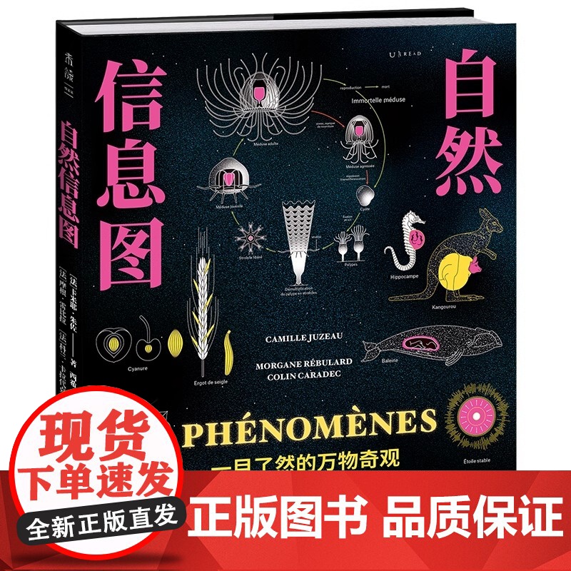 自然信息图 一目了然的万物奇观 跨越自然与人文10个领域 124个主题 生僻 冷门 迷人 揭开世界上少为人知的秘密 京联高清大图