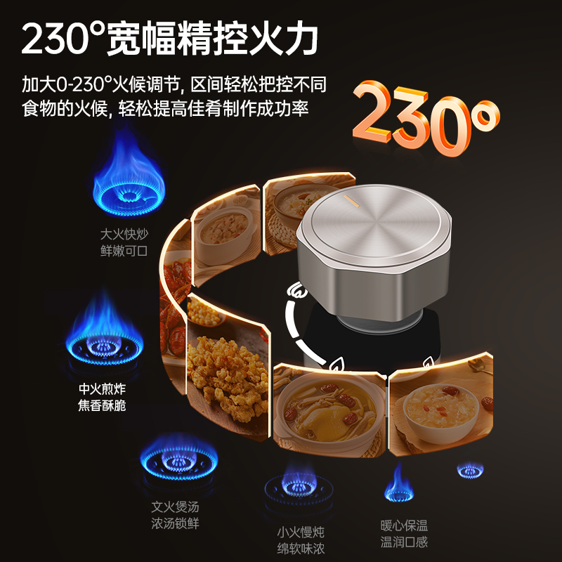 樱雪燃气灶JZT-261Q8DL煤气灶双灶台式嵌入式两用 5.0kW大火力家用聚能猛火定时灶台 液化气高清大图