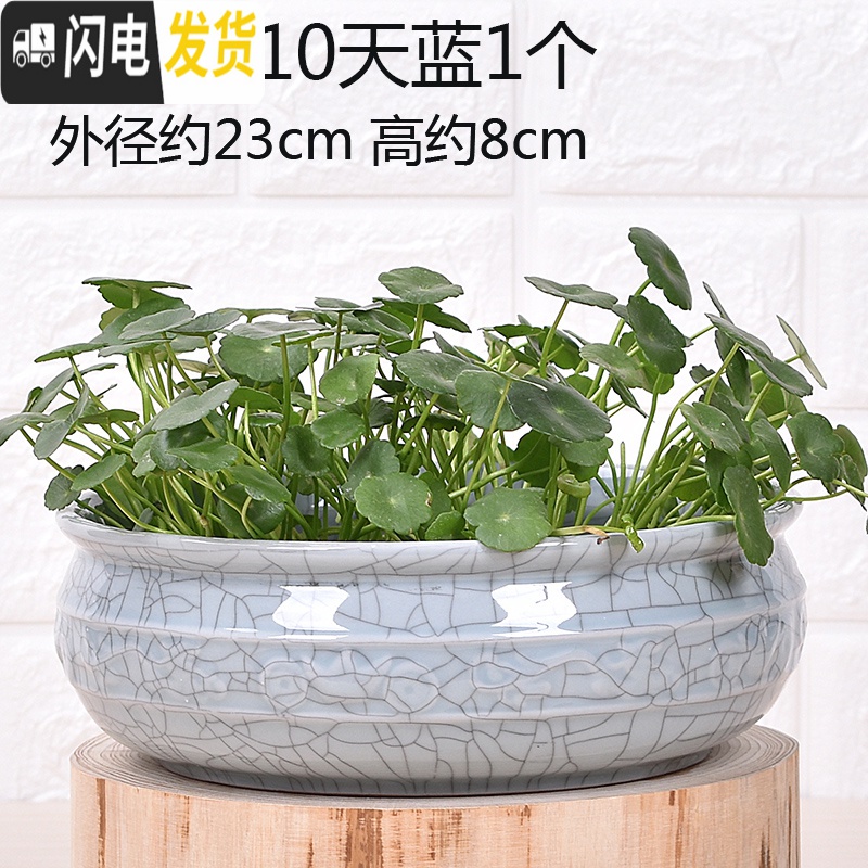 三维工匠无孔陶瓷水培花盆水仙铜钱睡莲荷花多肉特大号花盆 无孔-011天蓝1个 中等花盆容器高清大图