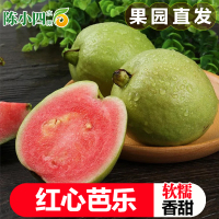 红心芭乐番石榴 2斤新鲜水果 胭脂红肉当季特产 陈小四水果