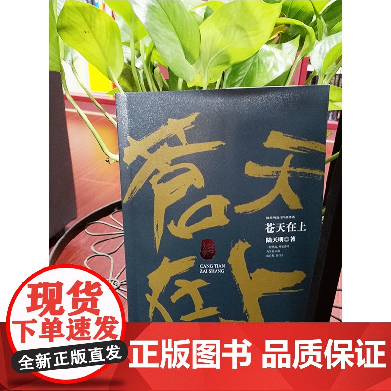陆天明当代作品精选:苍天在上高清大图