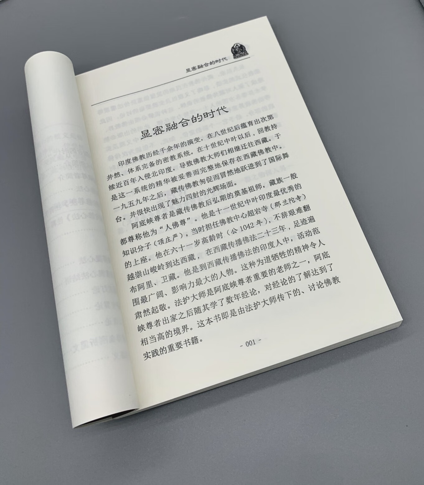藏传佛教书籍 经书密宗 剑轮修心法 法护大师 利器之轮高清大图