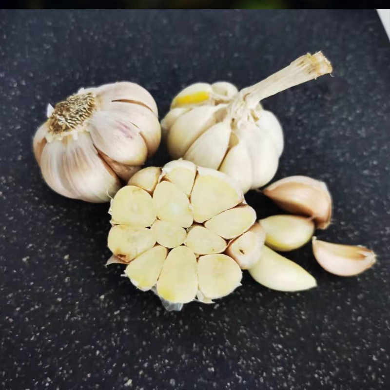 [西沛生鲜]当季河南新鲜紫白皮大头直径6cm以上干蒜9斤精选新蒜大头蒜 熊猫鸟