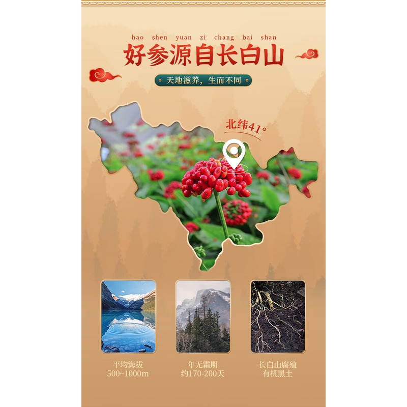 长白山人参 人参排片 φ1.6 100g/盒高清大图