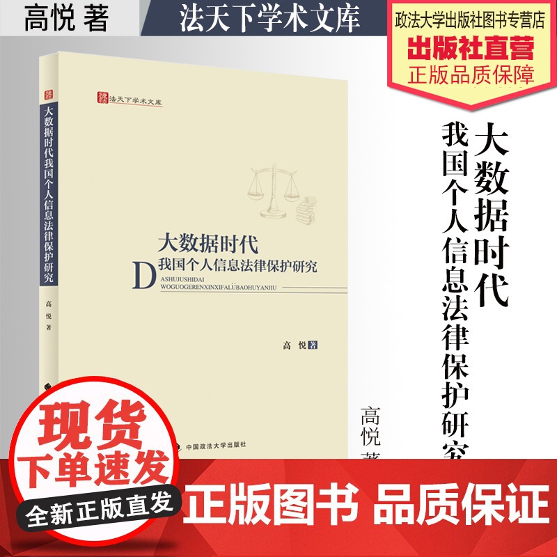 法学著作 大数据时代我国个人信息法律保护研究 高悦 著 法天下学术文库 中国政法大学出版社