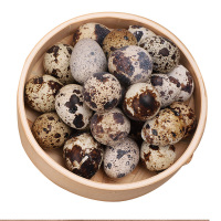 快挑食 鹌鹑蛋50枚