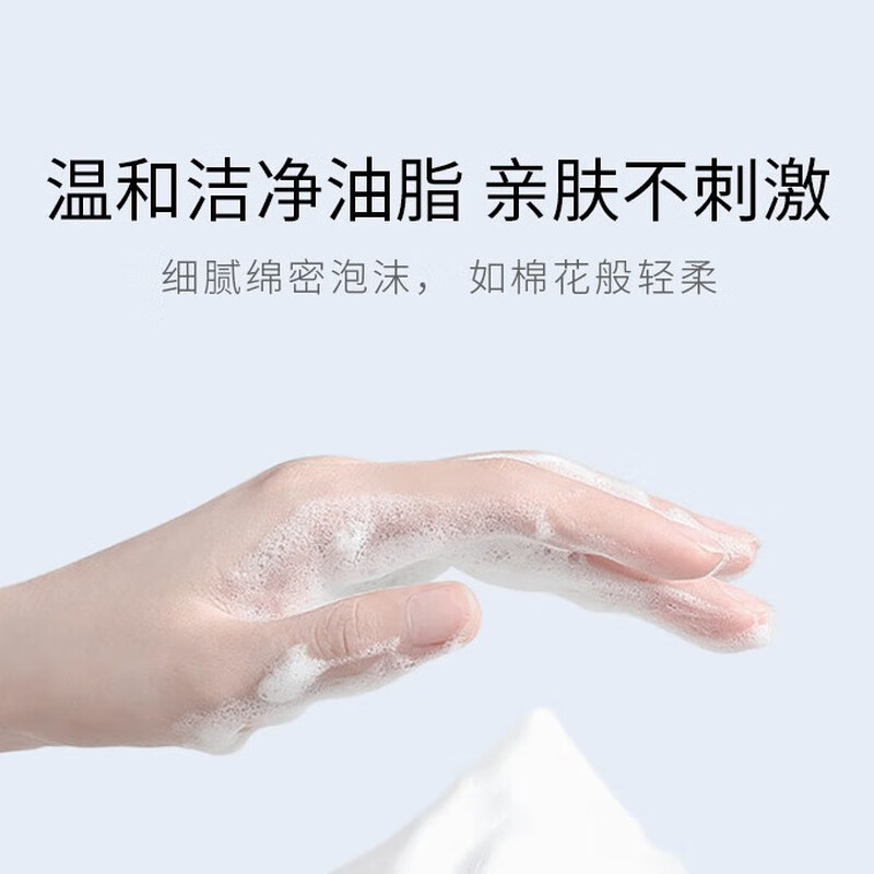 欧贝斯(obeis)水平衡莹透补水洁面乳110g(单位:件)高清大图