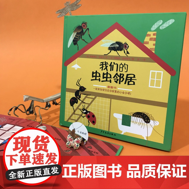 我们的虫虫邻居3-6-10岁/自然科学昆虫翻翻书/身边的科普虫子的秘密亲子共读精装绘本图画书少年儿童从出版社高清大图