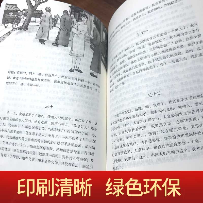 [正版]我这一辈子老舍经典文学 现当代文学作品集精选中短篇小说自传体学校青春文学散文随笔名家作品散文杂文集 老舍的书经高清大图