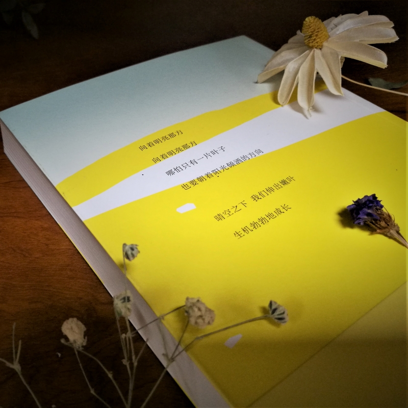 [正版] 向着明亮那方 万卷出版公司 [日]金子美铃 著 徐蕾 译 著 徐蕾 译 外国诗歌高清大图