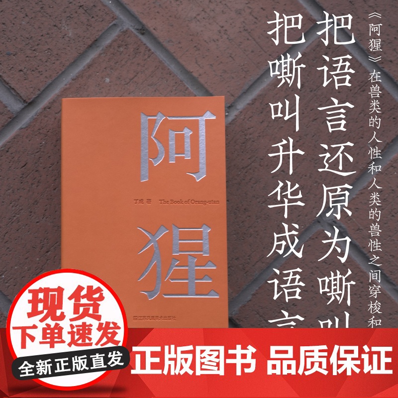 2024年“中国最美的书”阿猩 红毛猩猩的叫声被“翻译”成1000首诗 人类与其他物种的共同创作 红山动物园 毛栗子高清大图