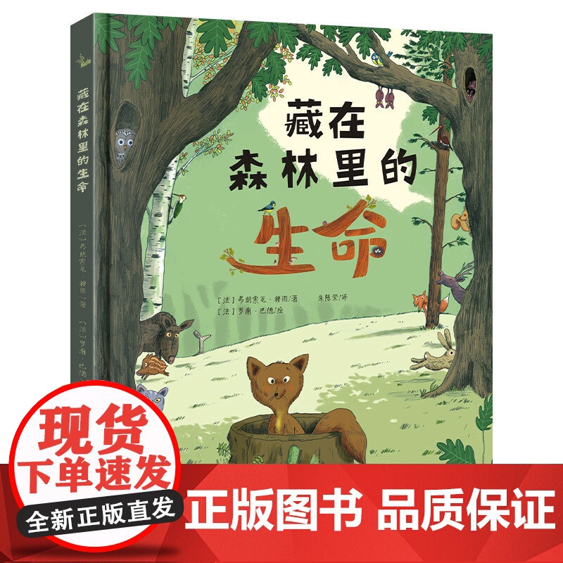 藏在森林里的生命 认识全球不同森林里的生命)鹦鹉螺高清大图