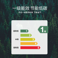 [2021年新款]康佳(KONKA) KD22 厨房环保灶蒸烤一体 侧吸式抽油烟机燃气灶蒸箱烤箱套装 液化气 集成灶