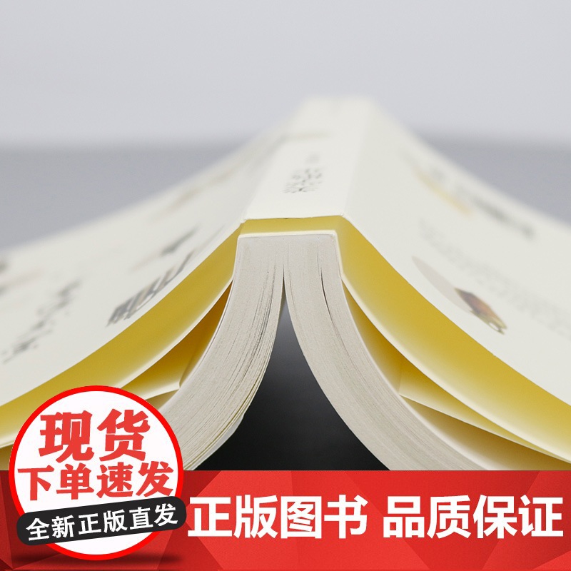 美学散步 宗白华著 李泽厚 三联书店美学三书之一 美学爱好者读哲学读物书籍 美学 上海人民出版社正版图书籍高清大图