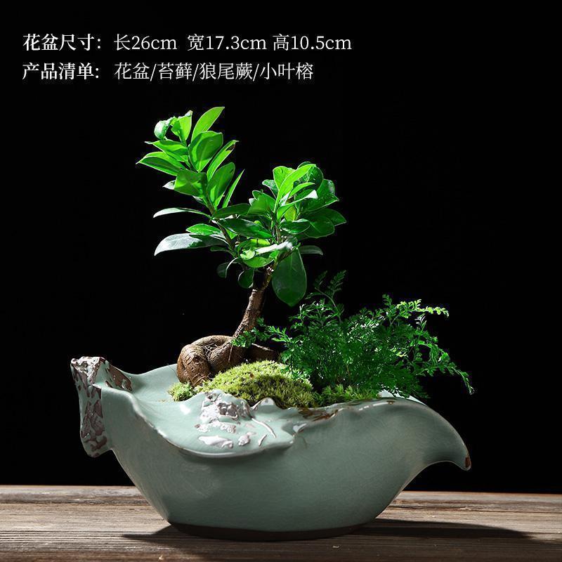 美帮汇创禅意新中式哥窑陶瓷花盆小叶榕树盆栽盆景家用办公室净化空气高清大图