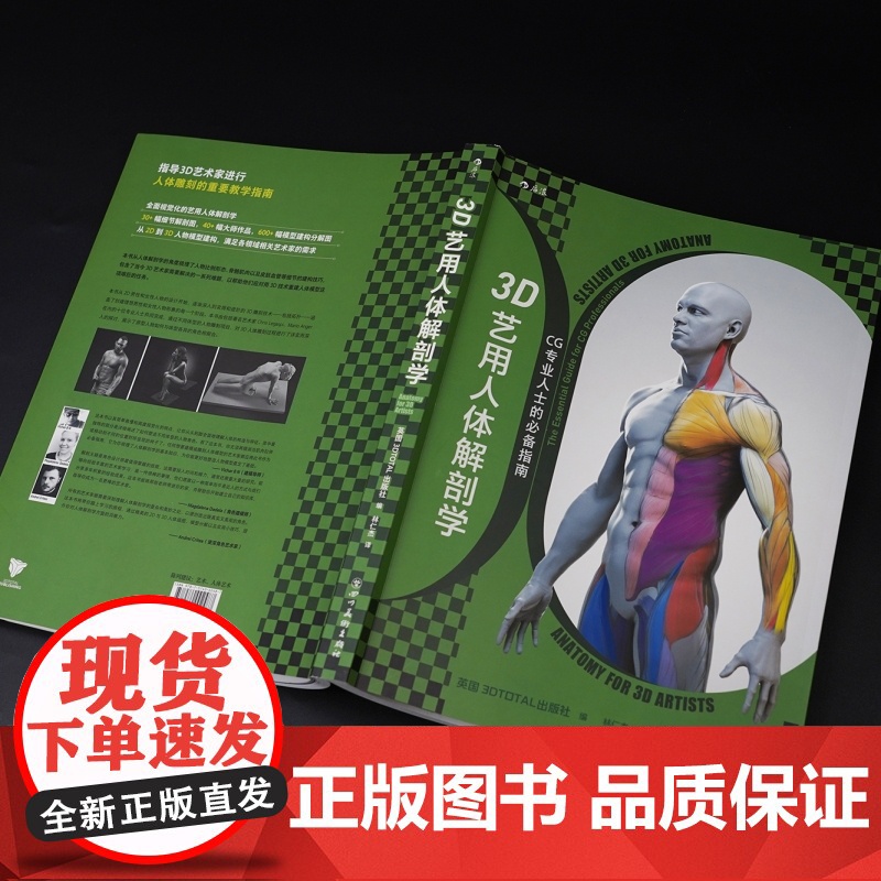 3D艺用人体解剖学 600幅模型建构分解图 从2D到3D满足各领域艺术家的创作需求 数字雕刻人体艺术书籍 后浪正版高清大图