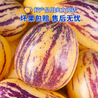 [西沛生鲜 ]甘肃民勤沙漠人参果 净重4.5斤 特大果 新鲜水果整箱一级人生果