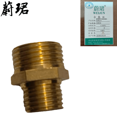 蔚珺铜双外丝变径接头6分转3分个