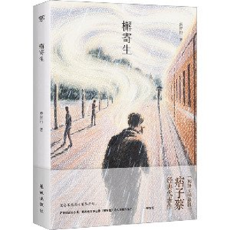 正版新书]檞寄生蔡智恒9787574900257高清大图