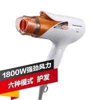 松下(Panasonic)电吹风 EH-NE24 负离子功能 恒温柔风模式 冷热双出风 1800W大功率 家用