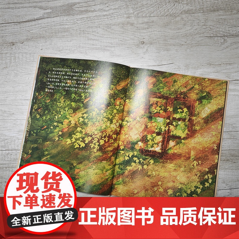 大家小绘系列:爬山虎的脚高清大图