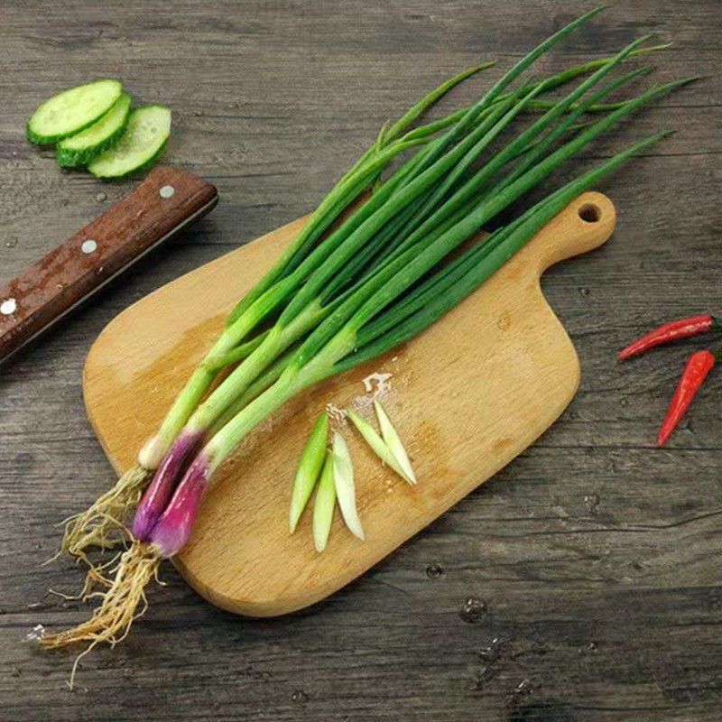 赛卡伊四川农家小香葱新鲜火葱细葱现摘现发蘸水水葱时令蔬菜