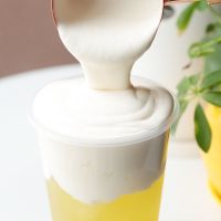 芝士奶盖粉奶茶店专用原材料原味海盐免奶油打发奶盖原料 玫瑰海盐味500g