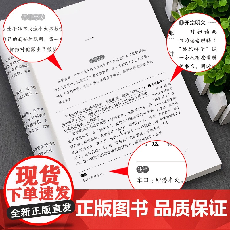 骆驼祥子和海底两万里全套2册正版原著老舍七年级下册名著课外书初中生初一年级语文课外阅读书籍SF高清大图