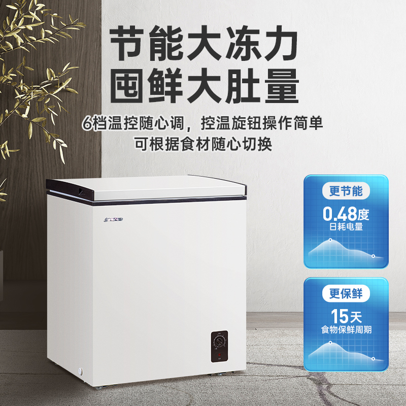 白雪冷柜bdc145ds家用小冰柜145升冷冻冷藏转换冷冻箱