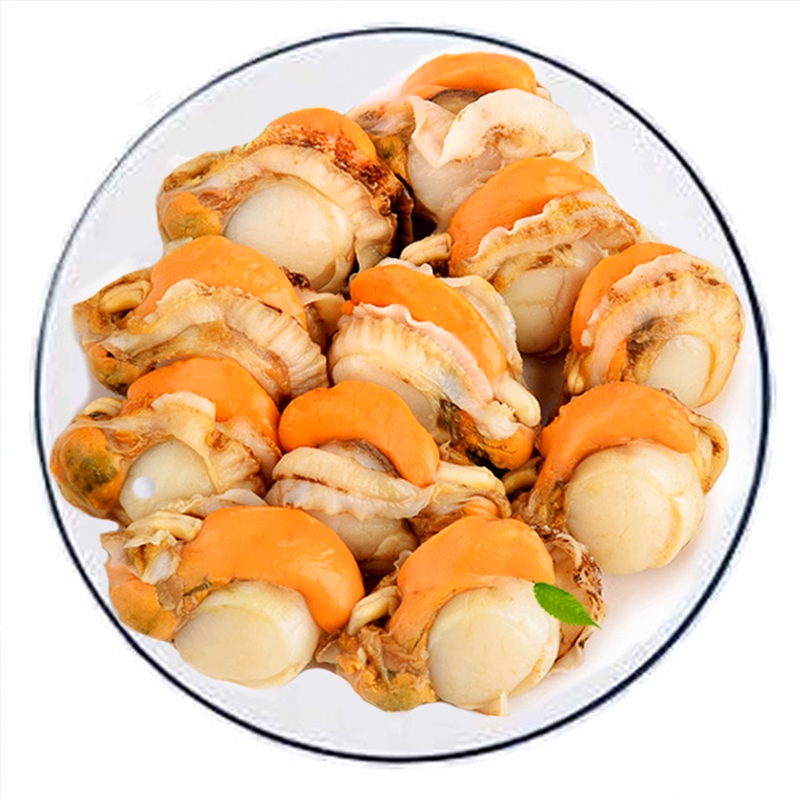 生鲜>海鲜水产>贝类>大叔的田>扇贝肉无冰冷冻新鲜连云港水产海鲜顺丰