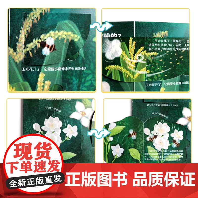 呦呦童正版 你问我答翻翻书揭秘植物 一问一答科普答疑解惑植物小百科 幼儿宝宝亲子启蒙0-3-6岁趣味阅读早教益智机关玩具高清大图