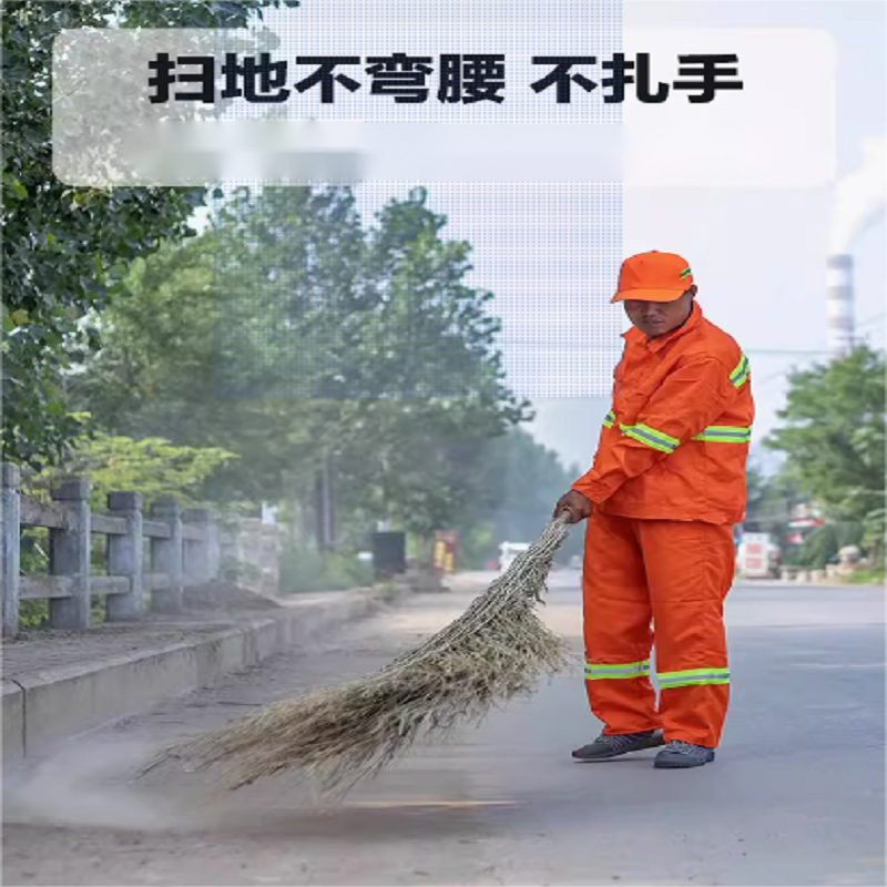 竹子大扫帚高清大图