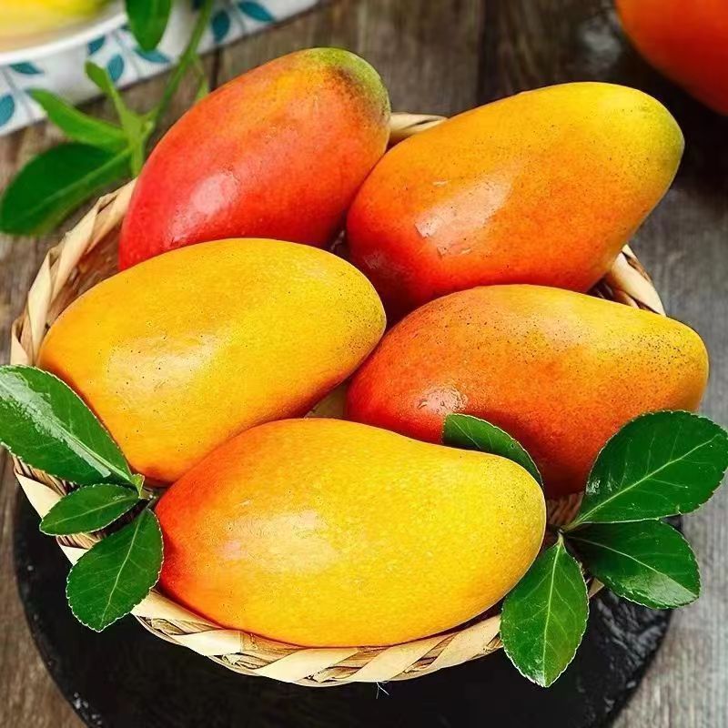 屈乡精品水果新鲜上市贵妃芒果 8斤 小果