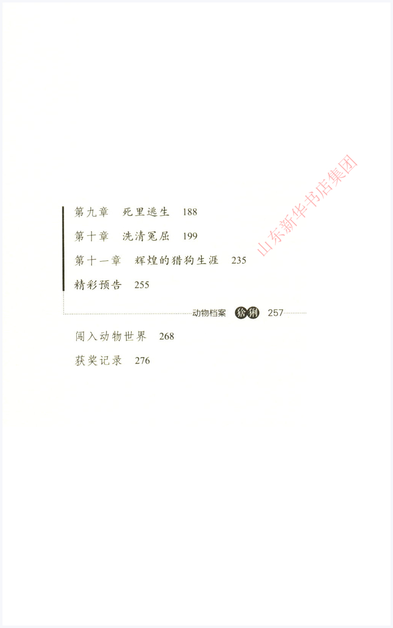 双面猎犬 [正版]书店 双面猎犬 动物小说大王沈石溪·品藏书系 中/小学生阅读少儿读物 儿童文学高清大图