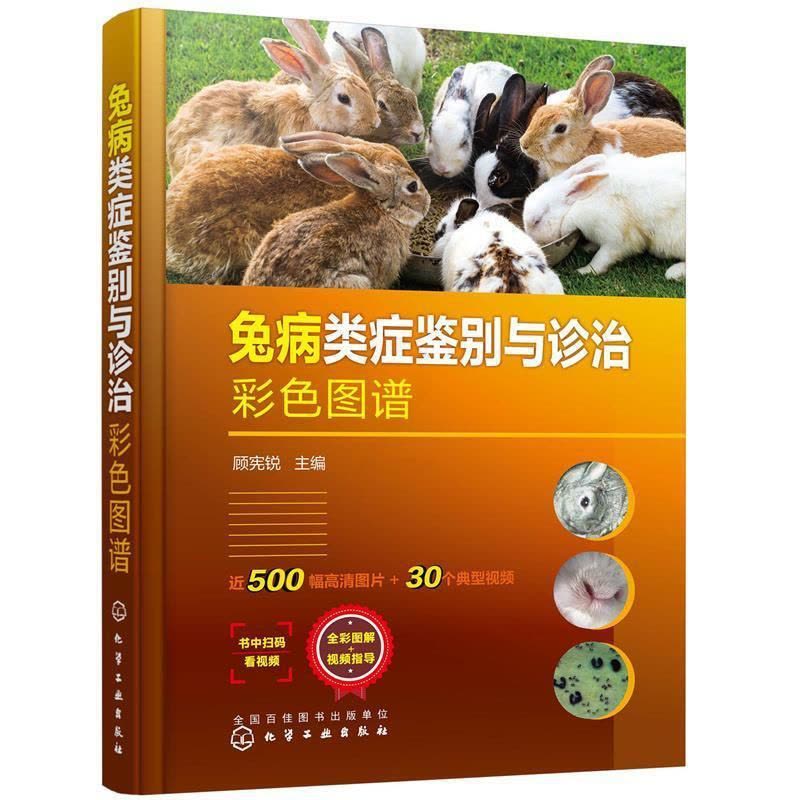 [醉染正版]正版兔病类症鉴别与诊治彩色图谱(精)9787122395696 顾宪锐化学工业出版社农业、林业兔病诊疗图谱本图片