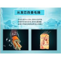 爱生活清盈柔顺护发素 绿(Y)B2B商品 企业定制款