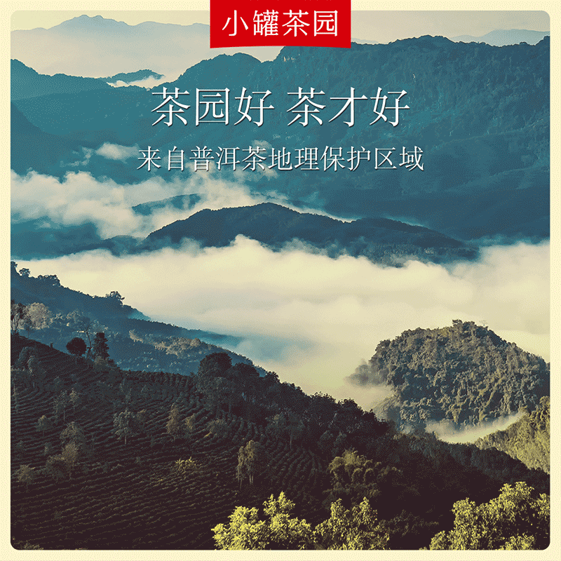 小罐茶园彩标系列 普洱熟茶 茶叶自己喝 160g高清大图