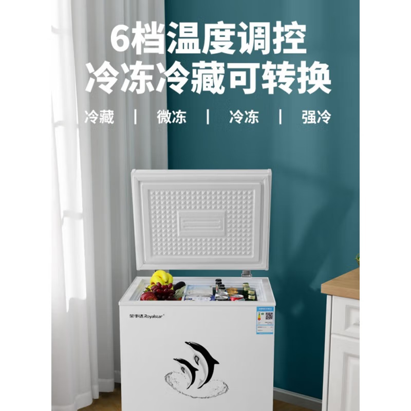 荣事达BD/BC-160A228D单温冰柜